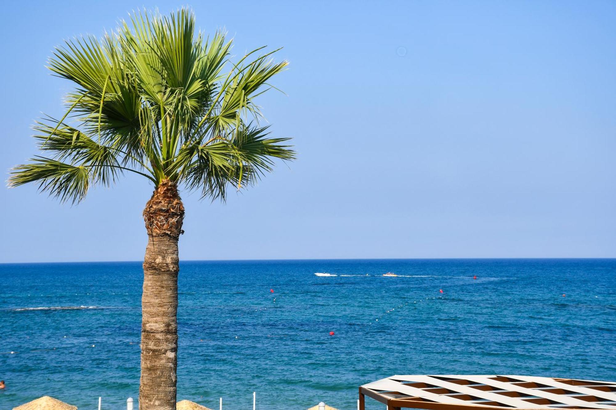Mimoza Beach Hotel Agios Sergios Exterior photo